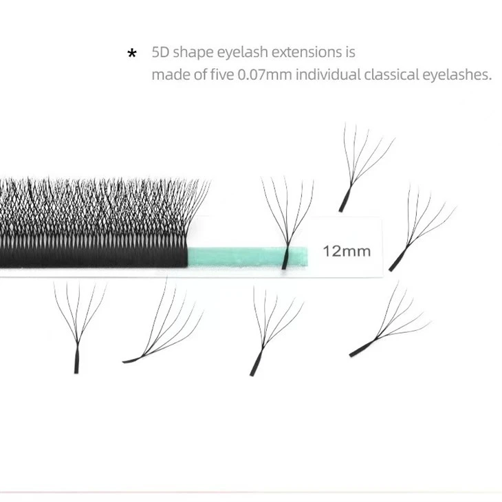 5D Eyelash Extensions